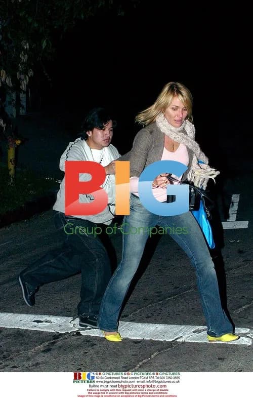 Cameron Diaz and Justin Timberlake Altercation with Paparazzi