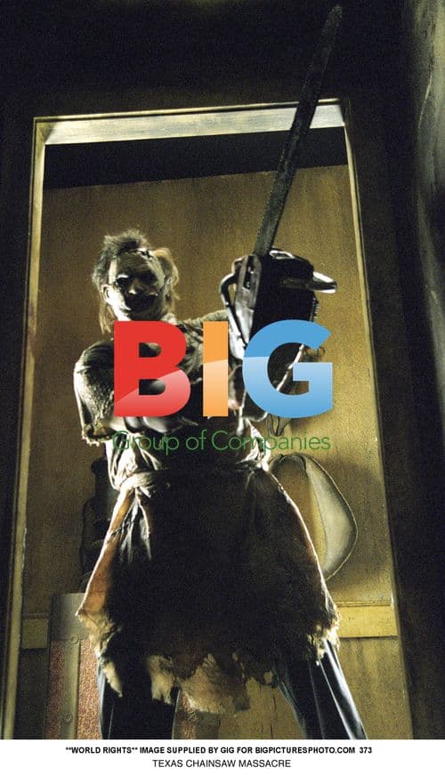 The Texas Chainsaw Massacre (2003) Cast