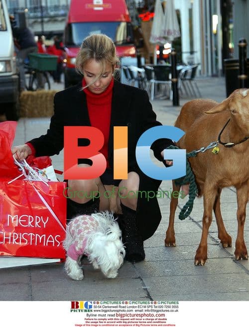 Top Model Isabella Hervey with Goat and Bags