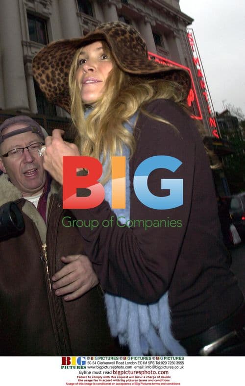 Supermodel Elle Macpherson at David Furnish's Birthday