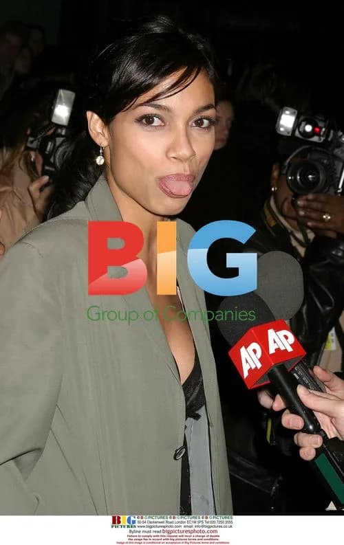 Rosario Dawson at 'Alexander' Screening