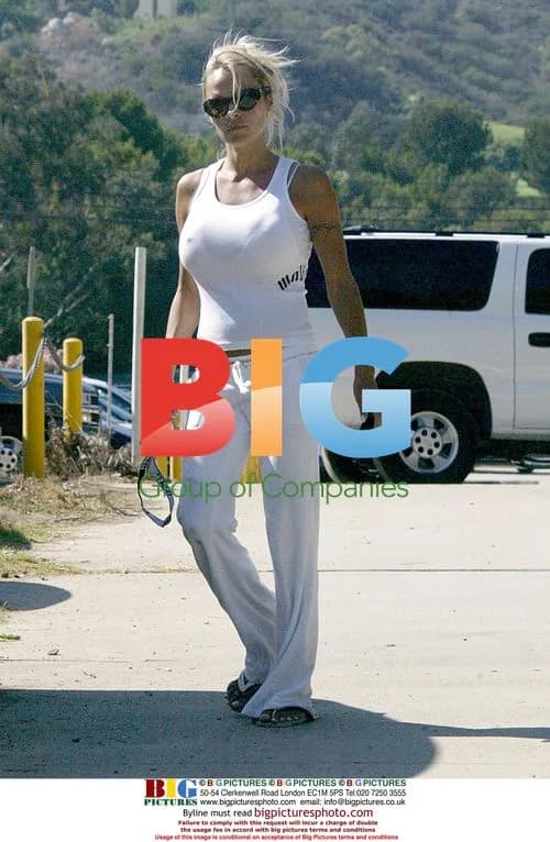 Pamela Anderson picking up kids from school