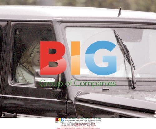 Pamela Anderson and Stephen Dorff Spotted Together in Malibu