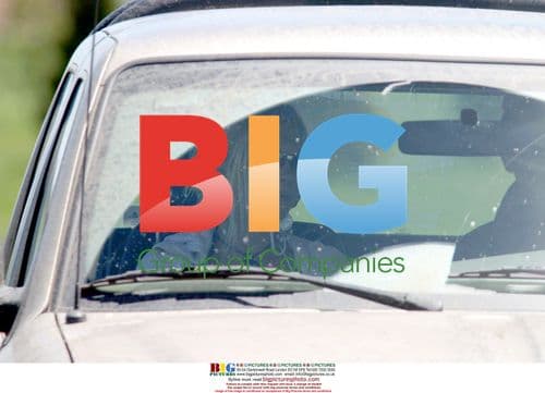 Prince Harry's Blond Friend in Argentina