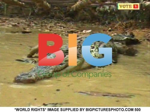 "I'mA Celebrity - Get Me Out of Here" Series 4