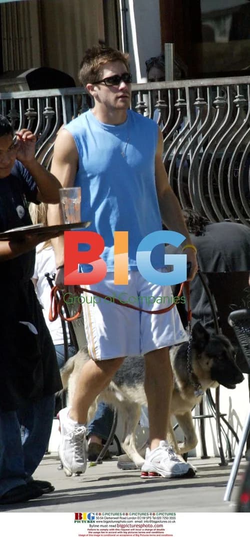 Jake Gyllenhall Outing With Dog, Lunch With Friends