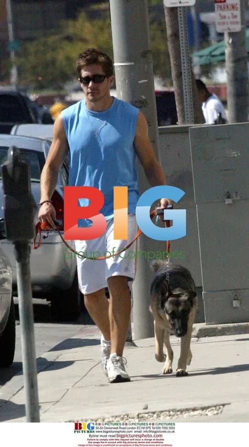 Actor Jake Gyllenhall Out with Friends