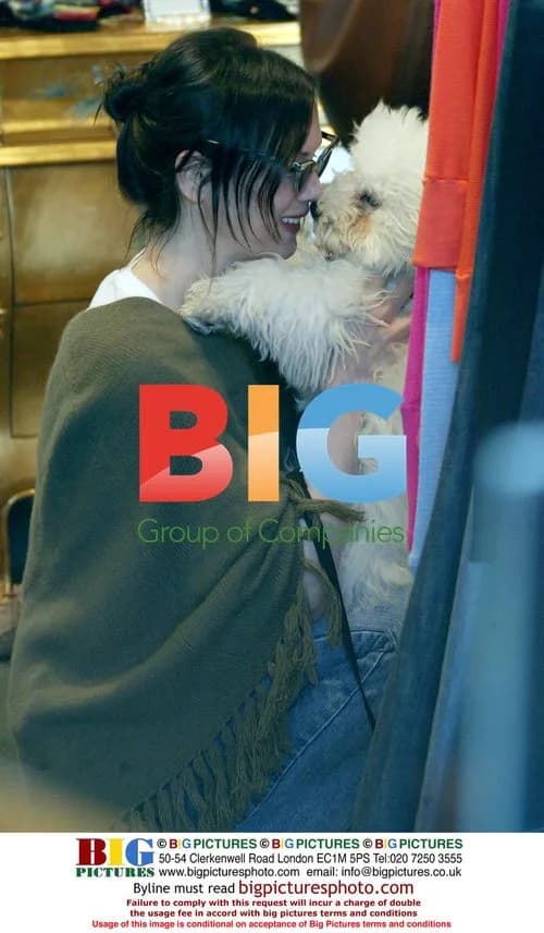 Renee Zellweger plays with shopkeeper's poodle