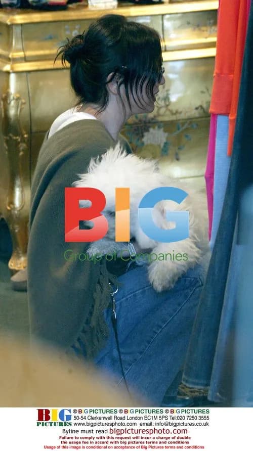 Renee Zellweger plays with poodle while shopping