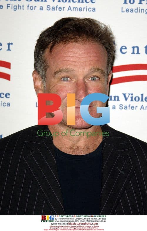 Robin Williams at Brady Center Benefit