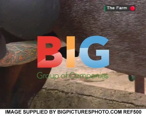 Vanilla Ice Struggles With Horse on 'The Farm'