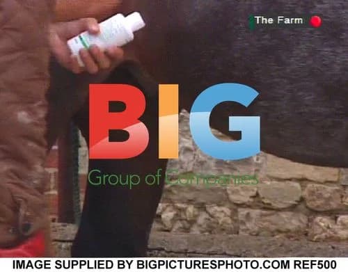 Vanilla Ice Struggles on 'The Farm'