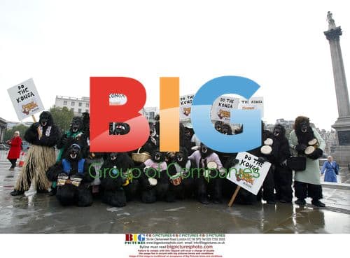 Gorillas at Trafalgar Square for Donkey Kong Launch