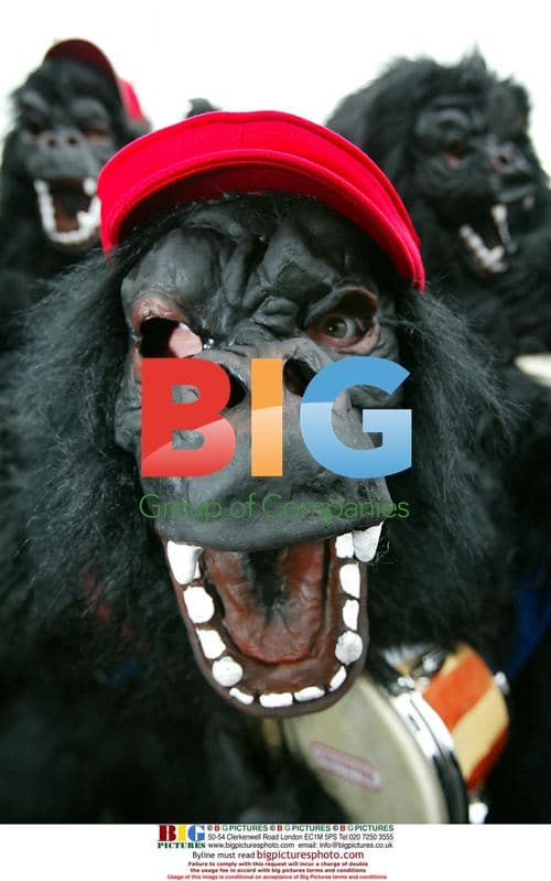 Gorilla band at Donkey Kong launch