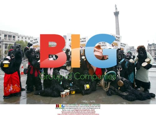 Gorillas Launch Donkey Kong Computer Game