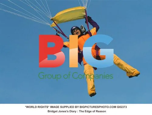 Bridget Jones's Diary: The Edge of Reason