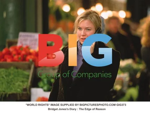 Bridget Jones's Diary: The Edge of Reason