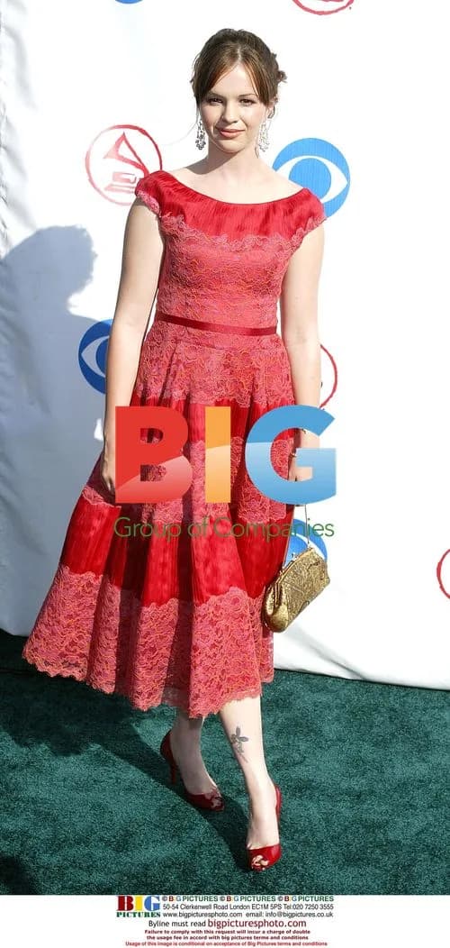 Amber Tamblyn at Latin Grammy Awards