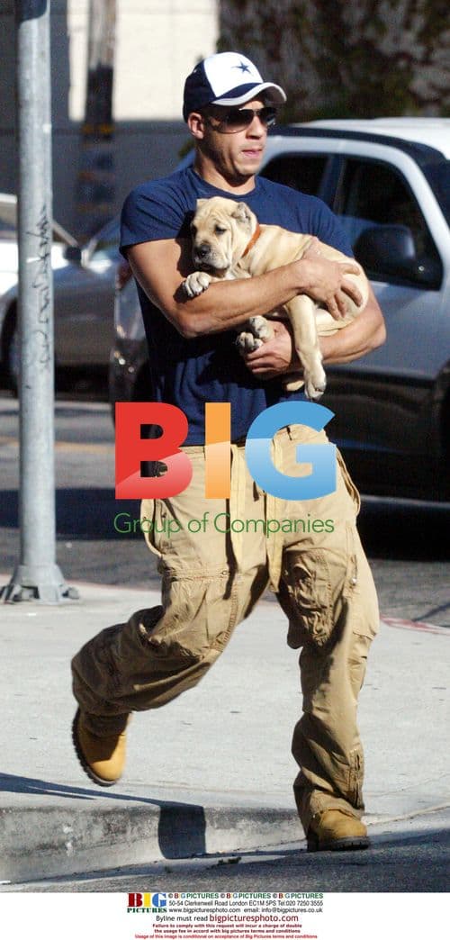 Vin Diesel Shows Off Shar-Pei Puppy
