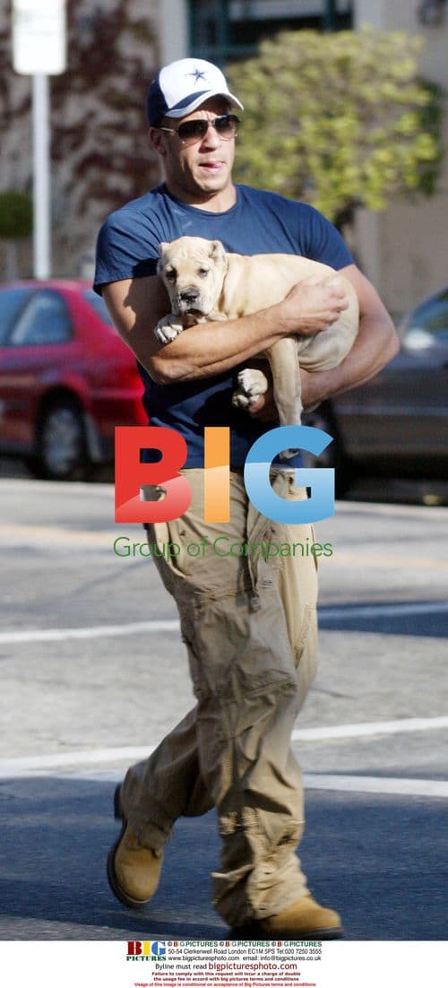 Vin Diesel with Shar-Pei Puppy