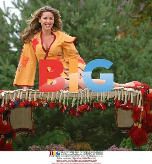 Claire Sweeney as Aladdin