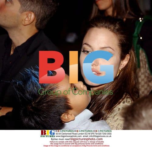 Angelina Jolie & Son at 'Shark Tale' Premiere