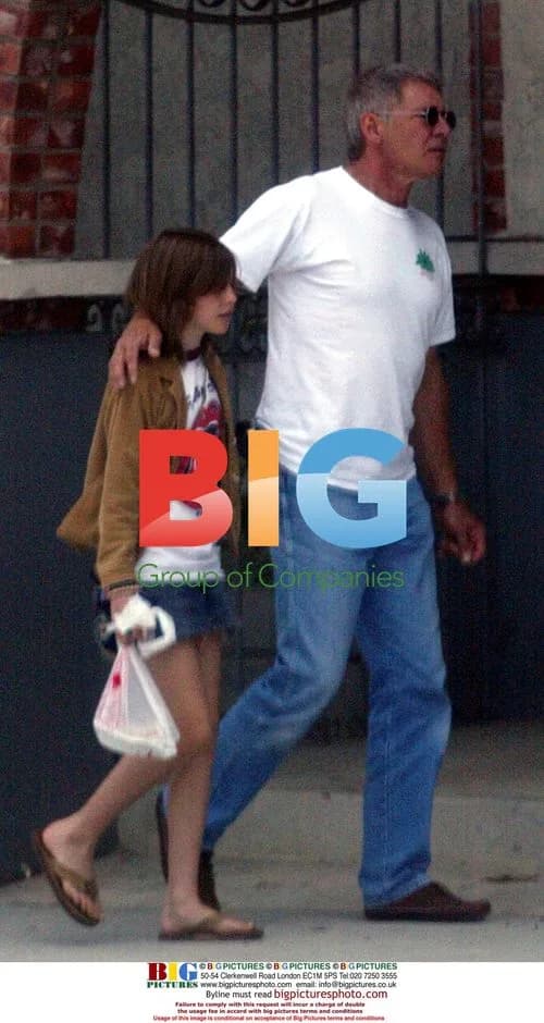 Harrison Ford's Wallet Mishap on Father's Day