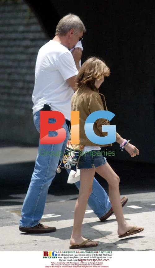 Harrison Ford Forgets Wallet at Father's Day Lunch