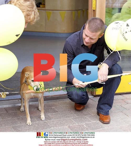 TV Presenter Dermot O' Leary Opens Dog Kennel