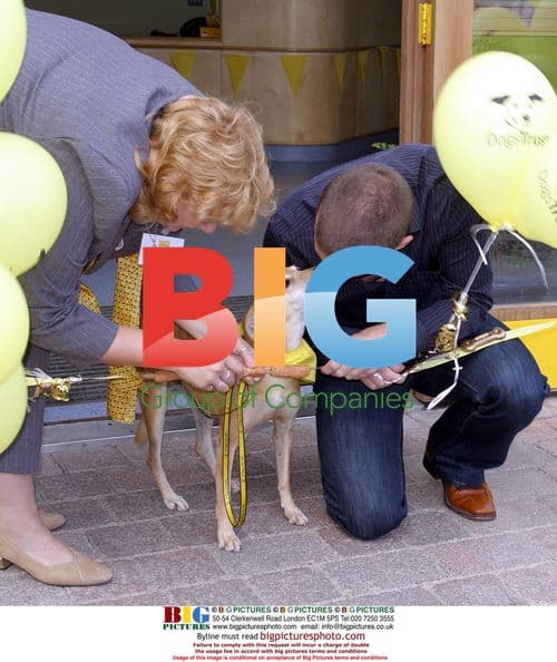 Dermot O'Leary Opens Kennel