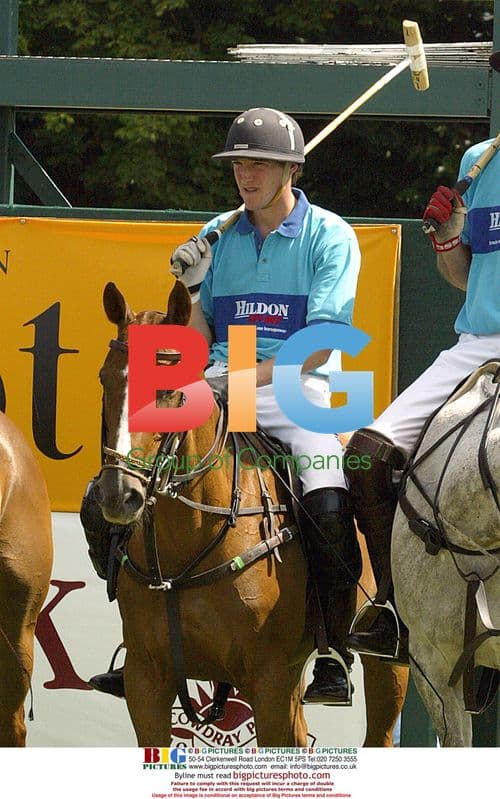 Polo Player Luke Tomlinson Arrested for Protest