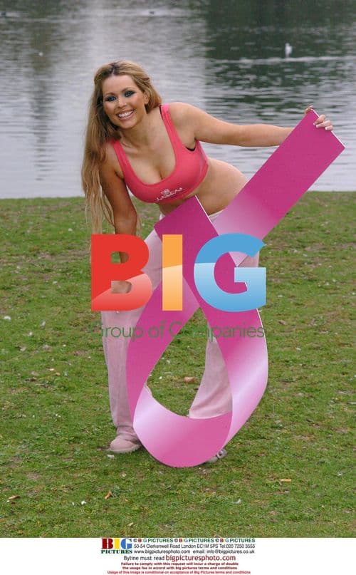 Celebrities at Breast Cancer Fundraiser