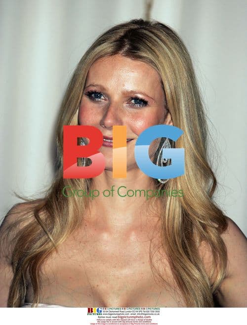 Gwyneth Paltrow at 77th Academy Awards