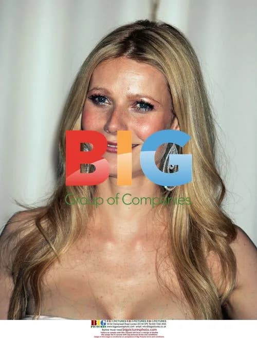 Gwyneth Paltrow at 77th Academy Awards