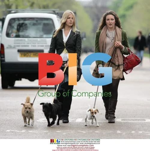 Sienna Miller Walks Dogs in London