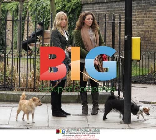 Sienna Miller Walks Dogs in London