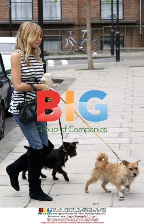 Sienna Miller Returns Home With Dogs