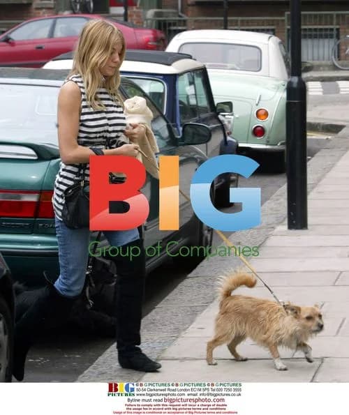 Sienna Miller Returns Home with Dogs