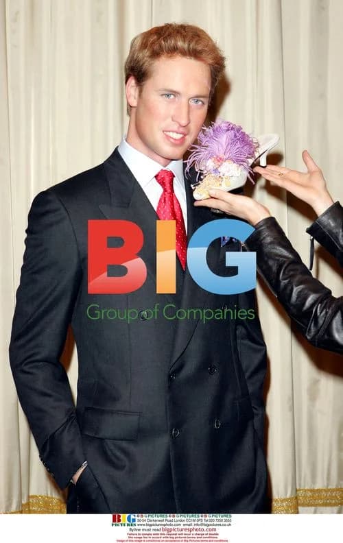 Prince William Wax Figure