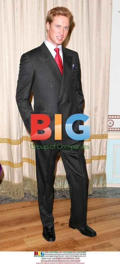 Prince William Wax Figure