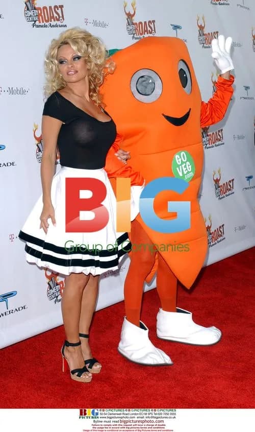 Pamela Anderson at Comedy Central Roast