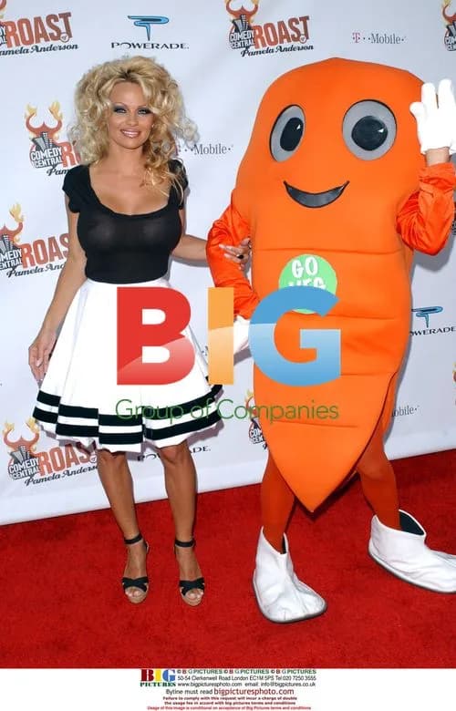 Pamela Anderson at Comedy Central Roast