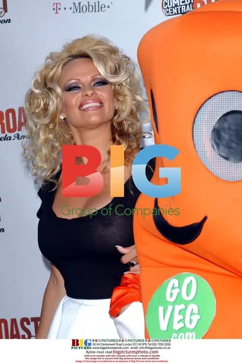 Pamela Anderson at Comedy Central Roast