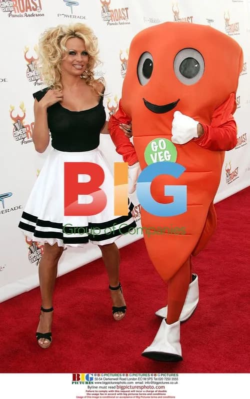 Pamela Anderson at Comedy Central Roast