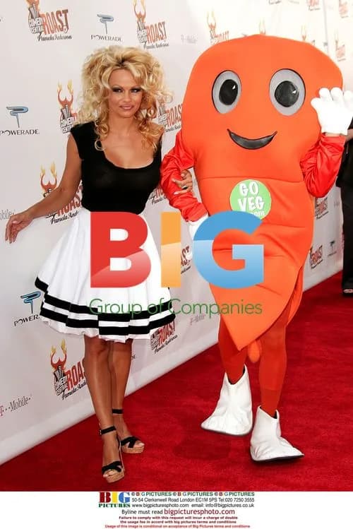 Pamela Anderson at COMEDY CENTRAL Roast