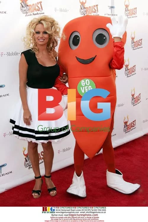 Pamela Anderson at Comedy Central Roast