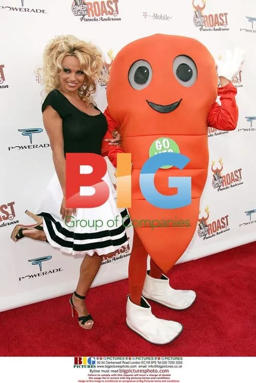 Pamela Anderson at COMEDY CENTRAL Roast