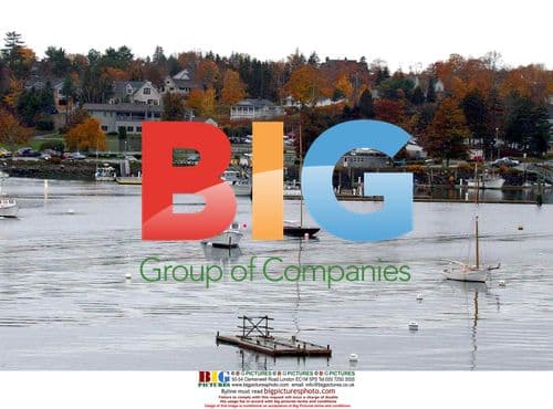 Barbara Bel Geddes, Dallas Actress, Dies at 82