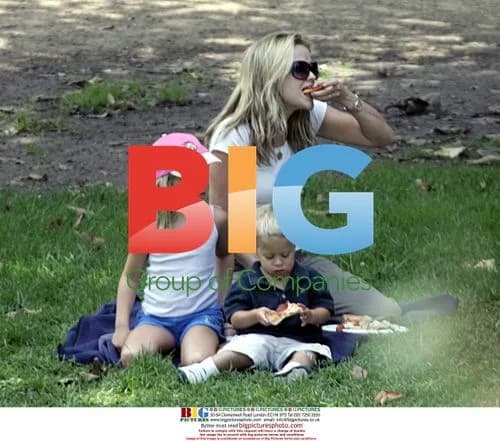 Reese Witherspoon Enjoys Park Picnic with Family