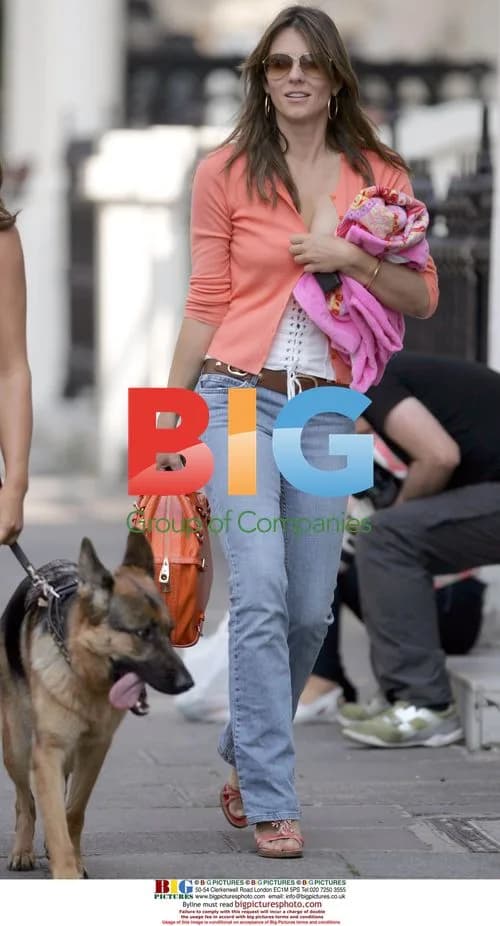 Liz Hurley Leaves Home With Dog
